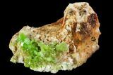 Vibrant Green Pyromorphite Crystal Cluster - China #112204-1